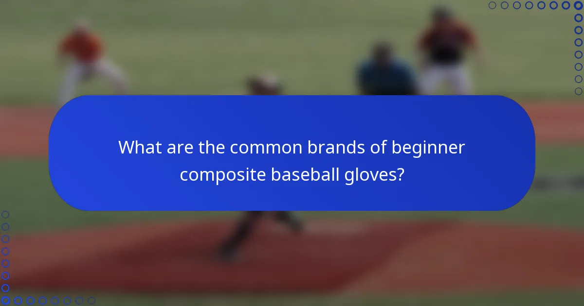 What are the common brands of beginner composite baseball gloves?