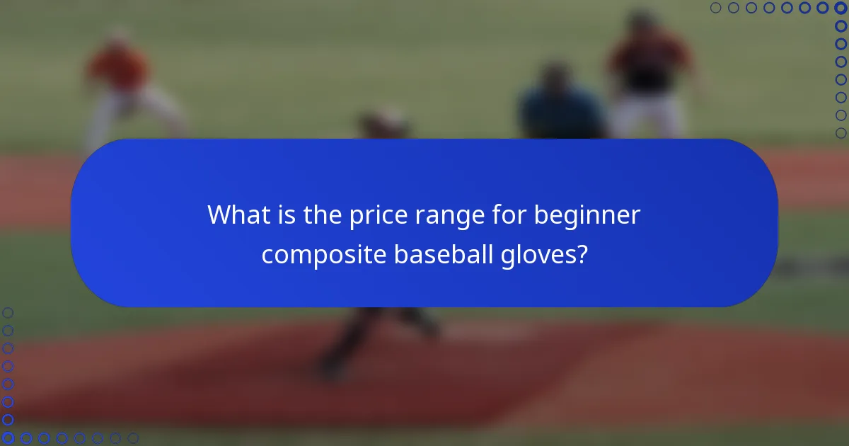 What is the price range for beginner composite baseball gloves?