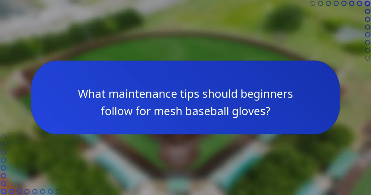 What maintenance tips should beginners follow for mesh baseball gloves?