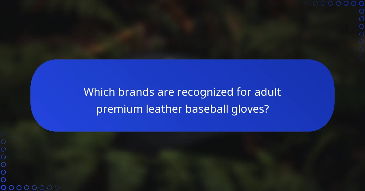Which brands are recognized for adult premium leather baseball gloves?