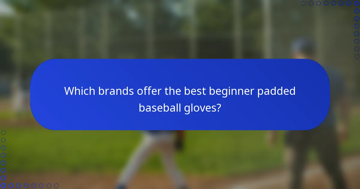 Which brands offer the best beginner padded baseball gloves?