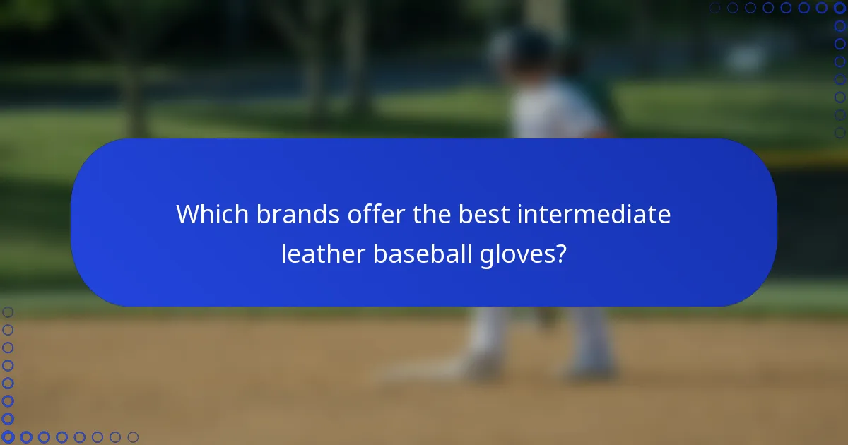 Which brands offer the best intermediate leather baseball gloves?