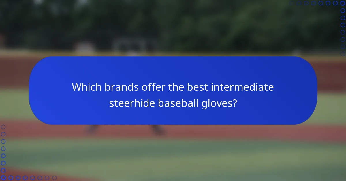 Which brands offer the best intermediate steerhide baseball gloves?